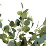 Ixia Planta Eucalipto Verde 80 x 75 x 173 cm