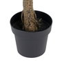 Ixia Planta Eucalipto Verde 80 x 75 x 173 cm