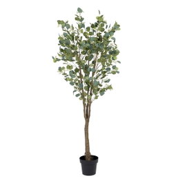 Ixia Planta Eucalipto Verde 80 x 75 x 173 cm