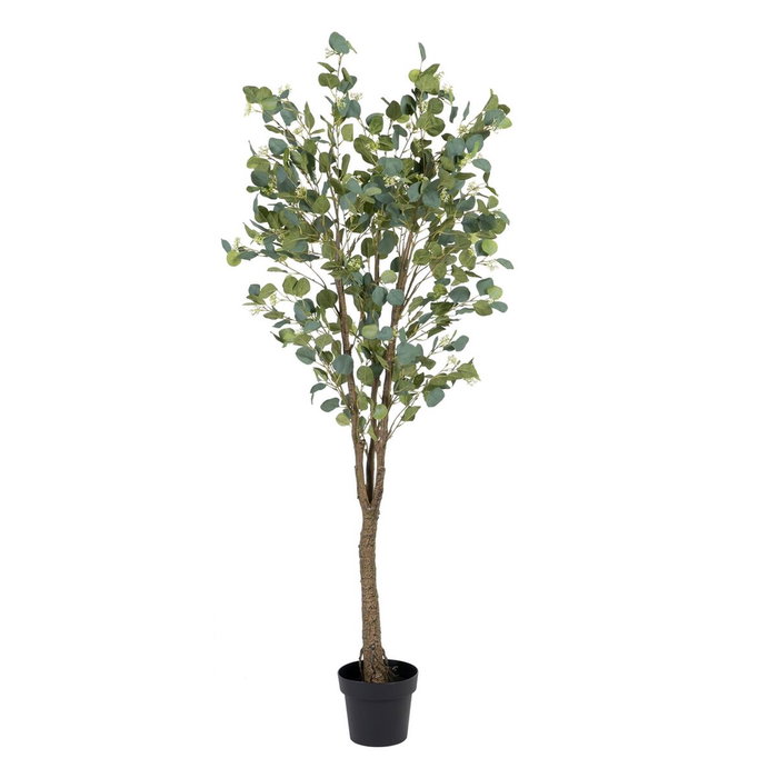 Ixia Planta Eucalipto Verde 80 x 75 x 173 cm Ixia Planta Eucalipto Verde 80 x 75 x 173 cm