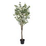 Ixia Planta Eucalipto Verde 80 x 75 x 173 cm