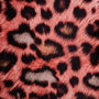 Ixia Cojín Leopardo Naranja Terciopelo 45 x 30 cm