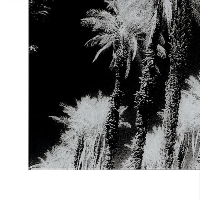 Cuadro Impresión Palmeras 120 X 4 X 70 cm