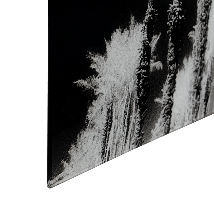 Cuadro Impresión Palmeras 120 X 4 X 70 cm