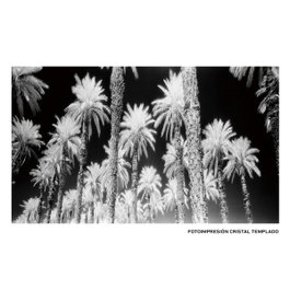 Ixia Cuadro Impresión Palmeras 120 x 4 x 70 cm