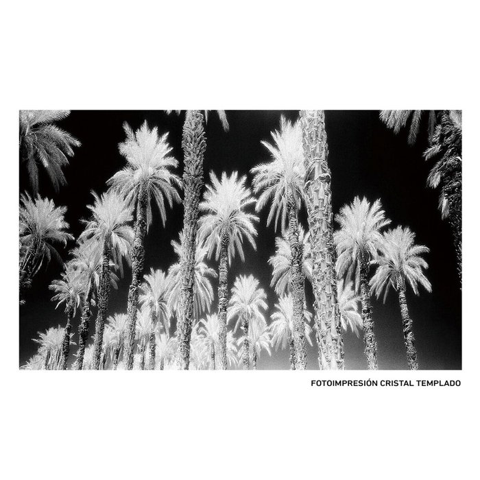 Ixia Cuadro Impresión Palmeras 120 x 4 x 70 cm Ixia Cuadro Impresión Palmeras 120 x 4 x 70 cm