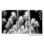 Ixia Cuadro Impresión Palmeras 120 x 4 x 70 cm