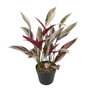 Ixia Planta Ave del Paraíso Verde Artificial 43 x 40 x 55 cm