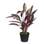 Planta Ave Del Paraíso Verde Artificial 43 X 40 X 55 cm