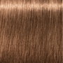 Schwarzkopf IGORA ROYAL Tinte Capilar en Tonos Nude #8-46 60 ml - Coloración Elegante con Tono Sutil