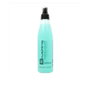 Salerm Brushing Thermal Protection 250 ml