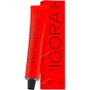 Schwarzkopf IGORA ROYAL 5-1 Castaño Claro