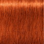 Schwarzkopf IGORA ROYAL 7-77