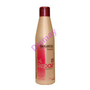 Salerm Hi Repair Champú Reparador 250ml
