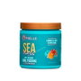 Mielle Sea Moss Anti-Shedding Curl Pudding 227g