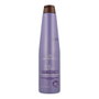 Placenta Life Blueberry Silver Acondicionador 350 ml