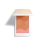 SISLEY Phyto-Touche Poudre Éclat Soleil Miel Cannelle