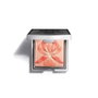 Sisley L'orchidée Palette nº3 3-coral