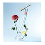 KENZO Flower by Kenzo Eau de Toilette 31 ml