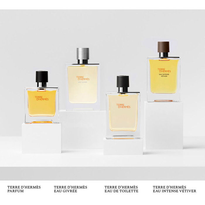 Hermès Terre d'Hermès Eau Givrée Eau de Parfum 50 ml Spray