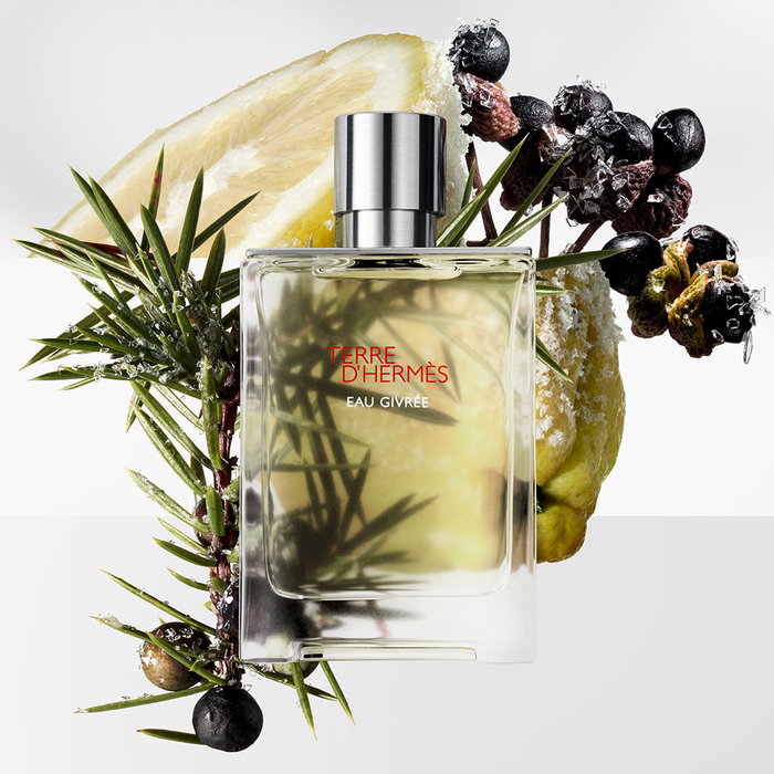 Hermès Terre d'Hermès Eau Givrée Eau de Parfum 50 ml Spray