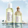 Guerlain Aqua Allegoria Nerolia Vetiver Eau de Toilette 125 ml