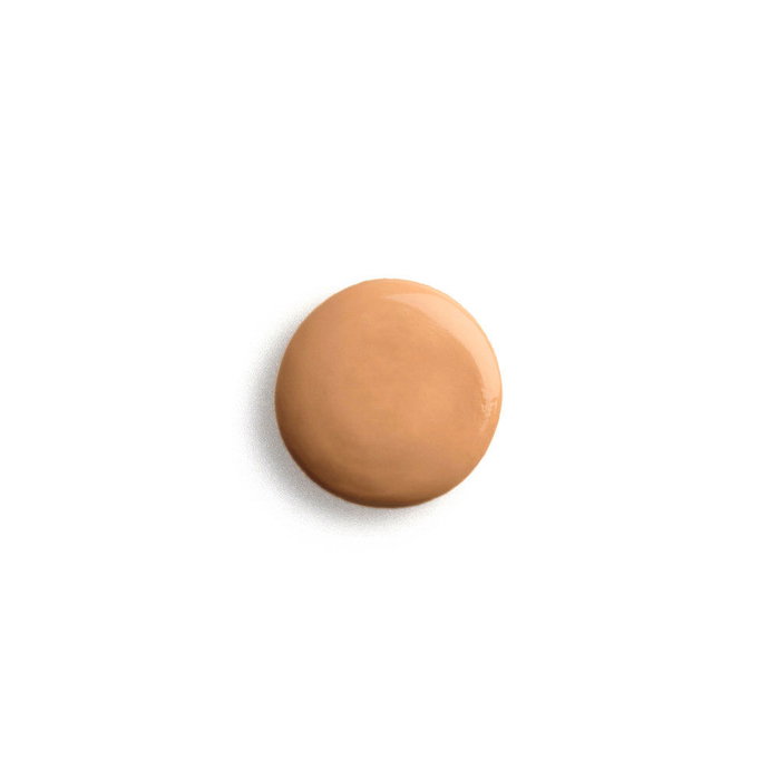 Sisley Phyto-Teint Ultra Éclat 6W-Chestnut 30 ml