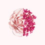 Givenchy Irrésistible Eau de Toilette Fraiche 80 ml
