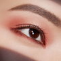 Estée Lauder Pure Color Envy Luxe Eyeshadow Palette boho rose