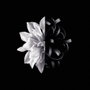 Givenchy L'Interdit Eau de Toilette 50 ml