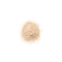 Clinique BLENDED Polvo de Cara 03-transparency 25 g