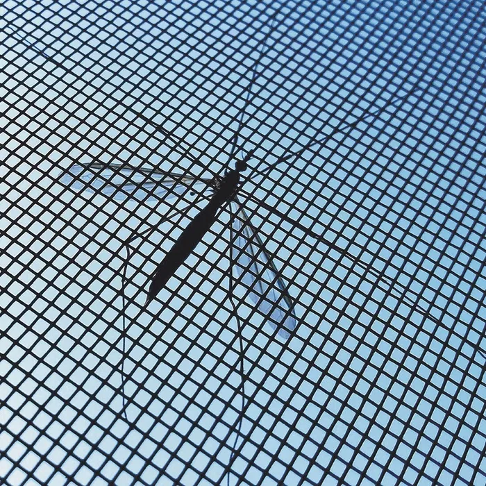 Mosquitera Adhesiva Recortable para Ventana InnovaGoods