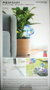 Inde Aqua·Loon Globos de Riego Automático Innovagoods 30 cm x 8 cm x 8 cm (10 Unidades)