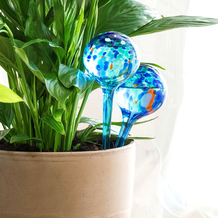 Inde Aqua·Loon Globos de Riego Automático Innovagoods 30 cm x 8 cm x 8 cm (10 Unidades)