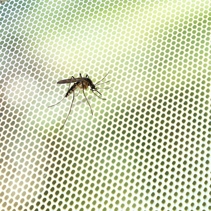 Mosquitera Adhesiva Recortable para Ventana White InnovaGoods