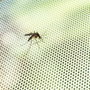 Mosquitera Adhesiva Recortable para Ventana White InnovaGoods