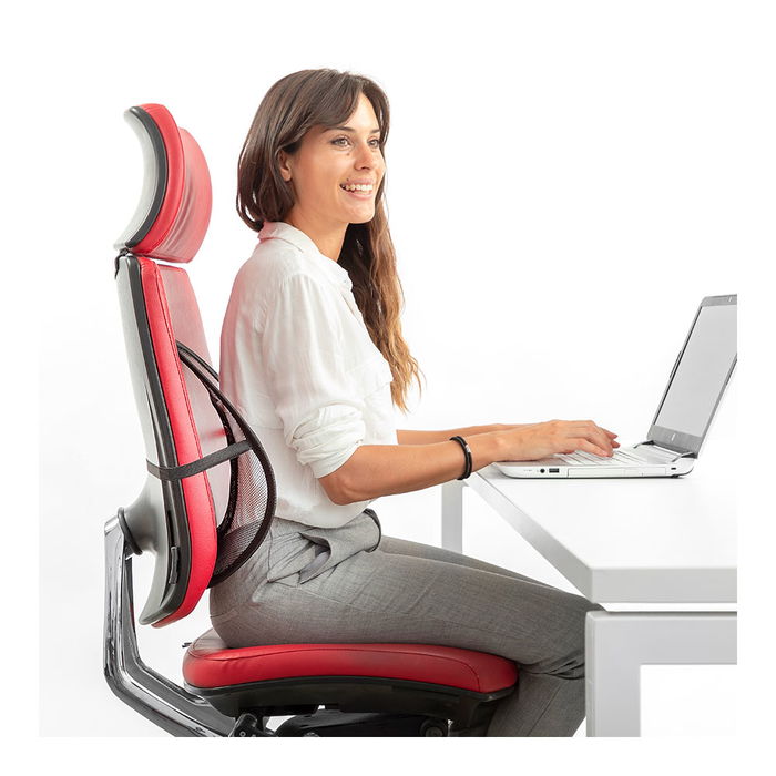 Innovagoods Respaldo Lumbar Portátil Transpirable V0103128 para Sillas de Oficina y Mejorar la Postura