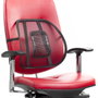 Innovagoods Respaldo Lumbar Portátil Transpirable V0103128