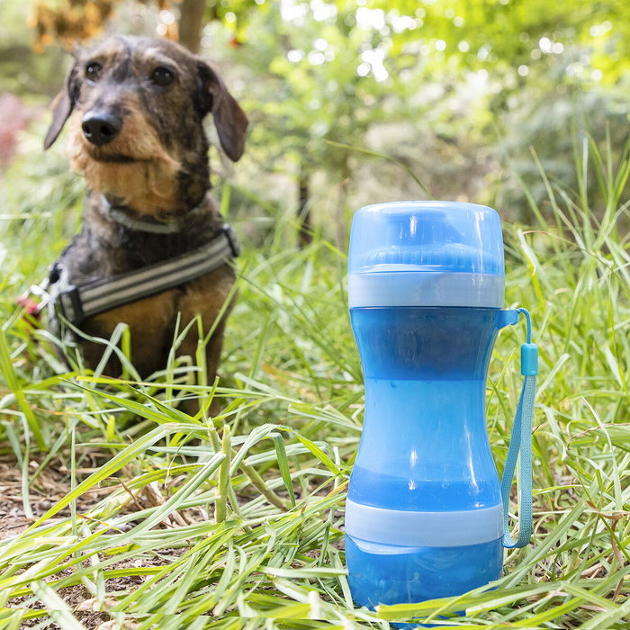 Innovagoods Botella con Depósito de Agua y Comida para Mascotas 2 en 1 Portátil 500ml