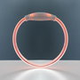 Collar LED para Mascotas Petlux InnovaGoods