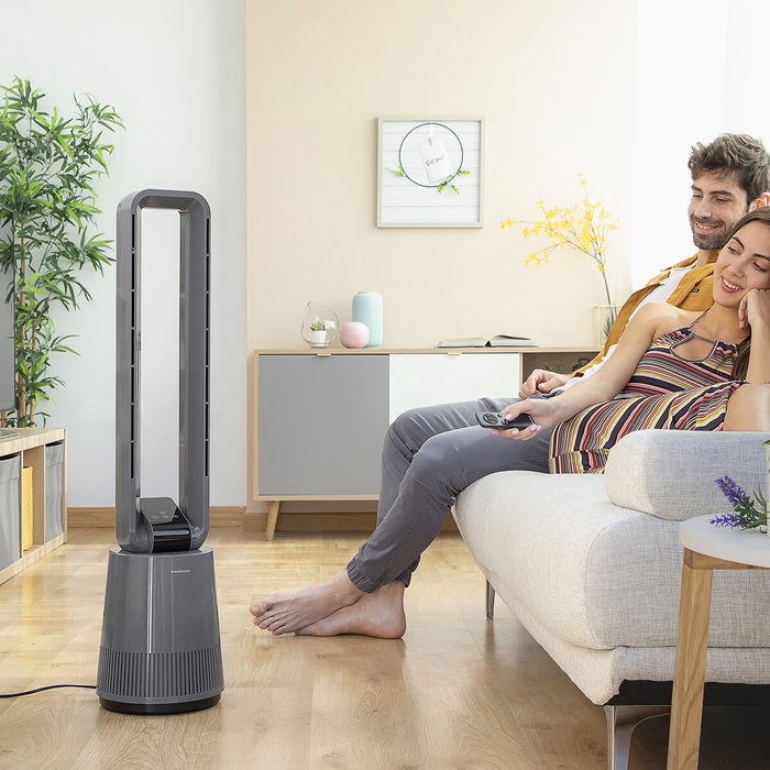 InnovaGoods Bloho Ventilador sin Aspas con Filtro Purificador y Mando a Distancia Gris InnovaGoods Bloho Ventilador sin Aspas con Filtro Purificador y Mando a Distancia Gris