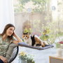 Innovagoods Hamaca Colgante Catlax