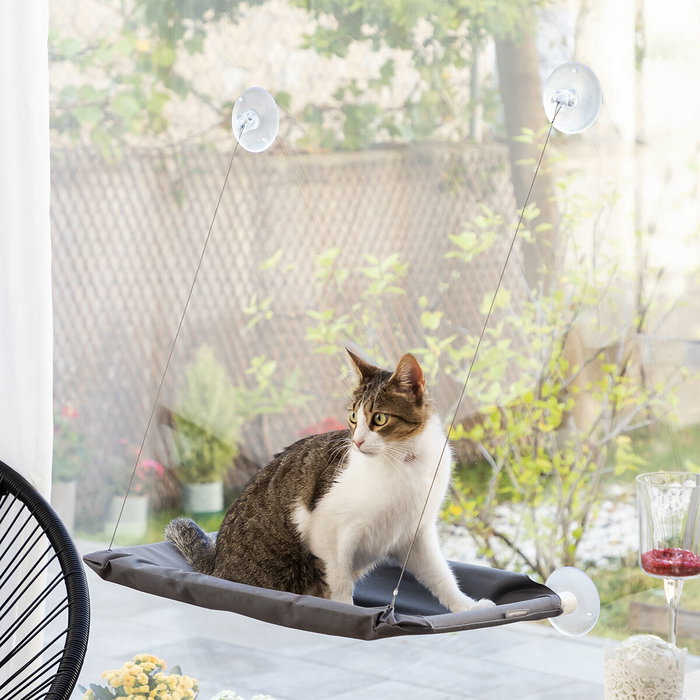 Innovagoods Hamaca Colgante Catlax