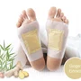 Parches Desintoxicantes para Pies Ginger InnovaGoods 10 Unidades