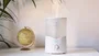 Cecotec BreezeCare 3000 Humidificador 5,5 L Negro, Blanco