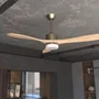 Cecotec EnergySilence Aero 5290 Golden Pro Ventilador de Techo Oro 132 cm