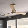 Cecotec EnergySilence Aero 5290 Golden Pro Ventilador de Techo Oro 132 cm