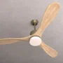 Cecotec EnergySilence Aero 5290 Golden Pro Ventilador de Techo Oro 132 cm