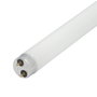 SATURNIA Lampe de rechange pour exterminateur 20W