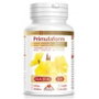 INTERSA PRIMULAFORM 200 perles